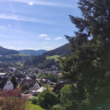 Traumblick Fewo Mit Pool Baiersbronn Luaran gambar
