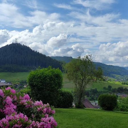 Traumblick Fewo Mit Pool Baiersbronn Luaran gambar