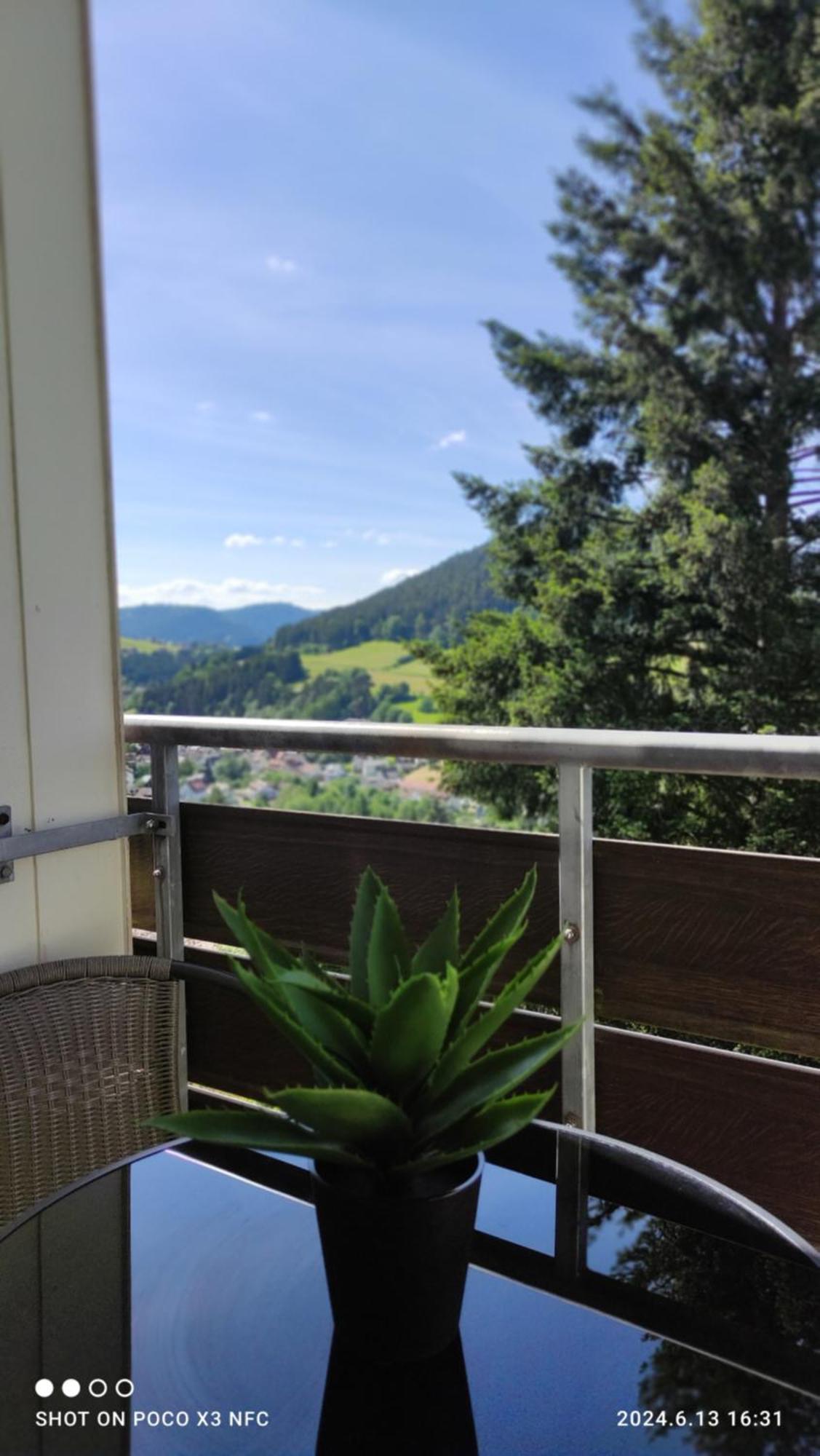 Traumblick Fewo Mit Pool Baiersbronn Luaran gambar
