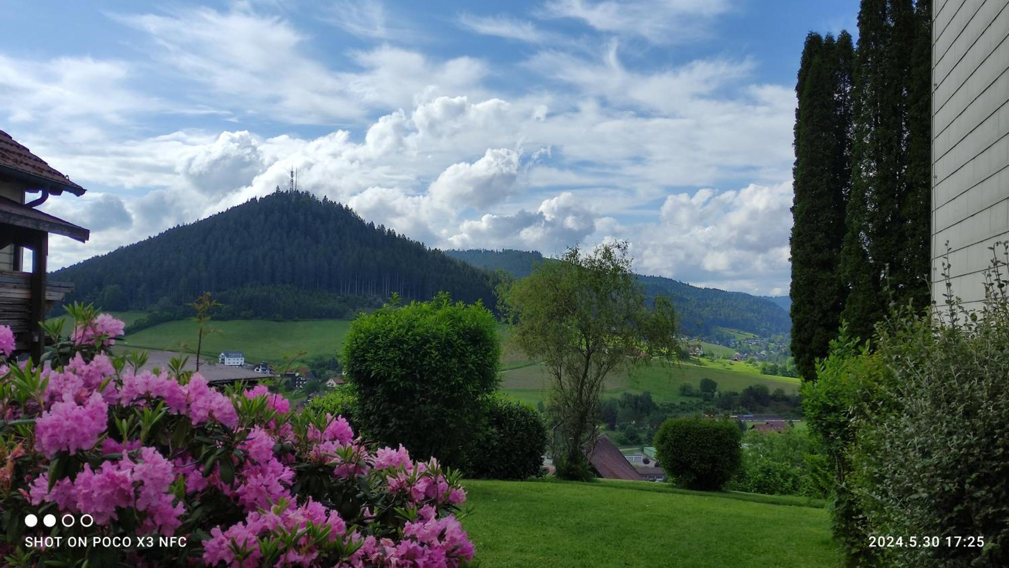 Traumblick Fewo Mit Pool Baiersbronn Luaran gambar